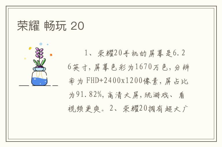 荣耀 畅玩 20