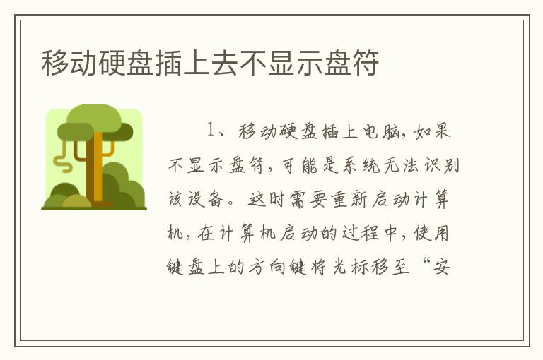 移动硬盘插上去不显示盘符