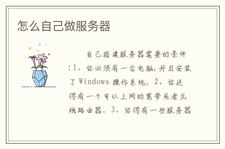 怎么自己做服务器