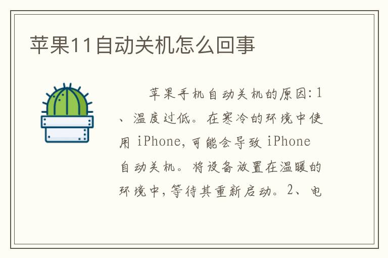 苹果11自动关机怎么回事